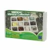 Educational Insights Metamorphic Rock Collection 2 Educational Insights Metamorphic Rock Collection -Educational Insights stop unnamed file 662