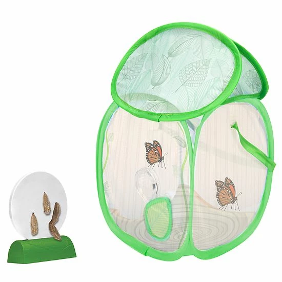 Educational Insights GeoSafari Jr. Butterfly Bungalow Educational Insights GeoSafari Jr. Butterfly Bungalow -Educational Insights stop unnamed file 954