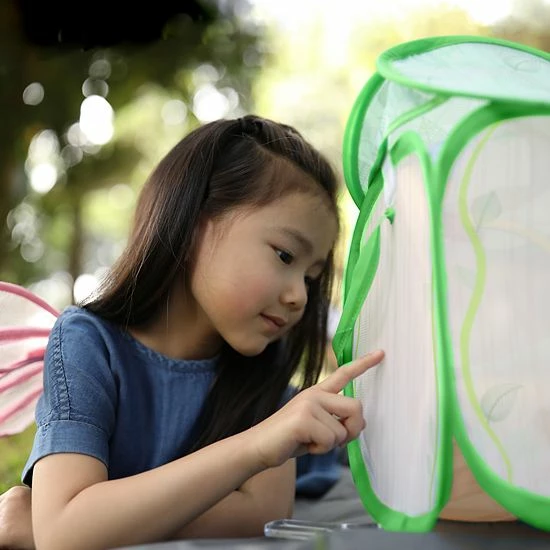 Educational Insights GeoSafari Jr. Butterfly Bungalow Educational Insights GeoSafari Jr. Butterfly Bungalow -Educational Insights stop unnamed file 955