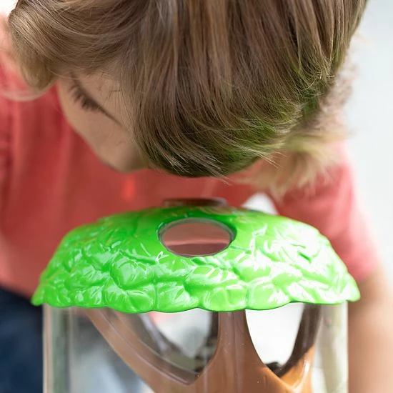 Educational Insights GeoSafari Jr. Ladybug Garden 6 Educational Insights GeoSafari Jr. Ladybug Garden - Image 4